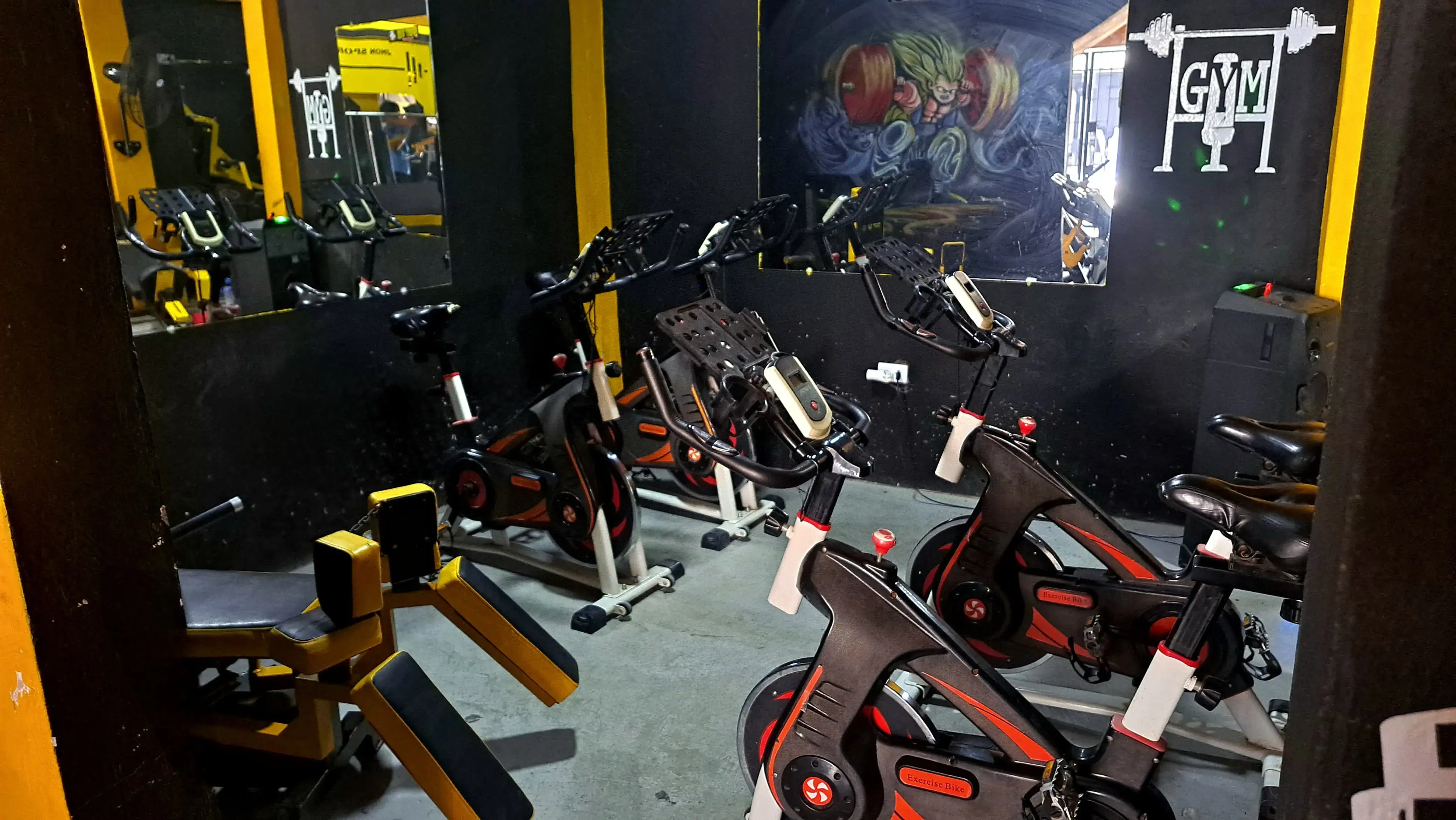 Imagen de las bicicletas